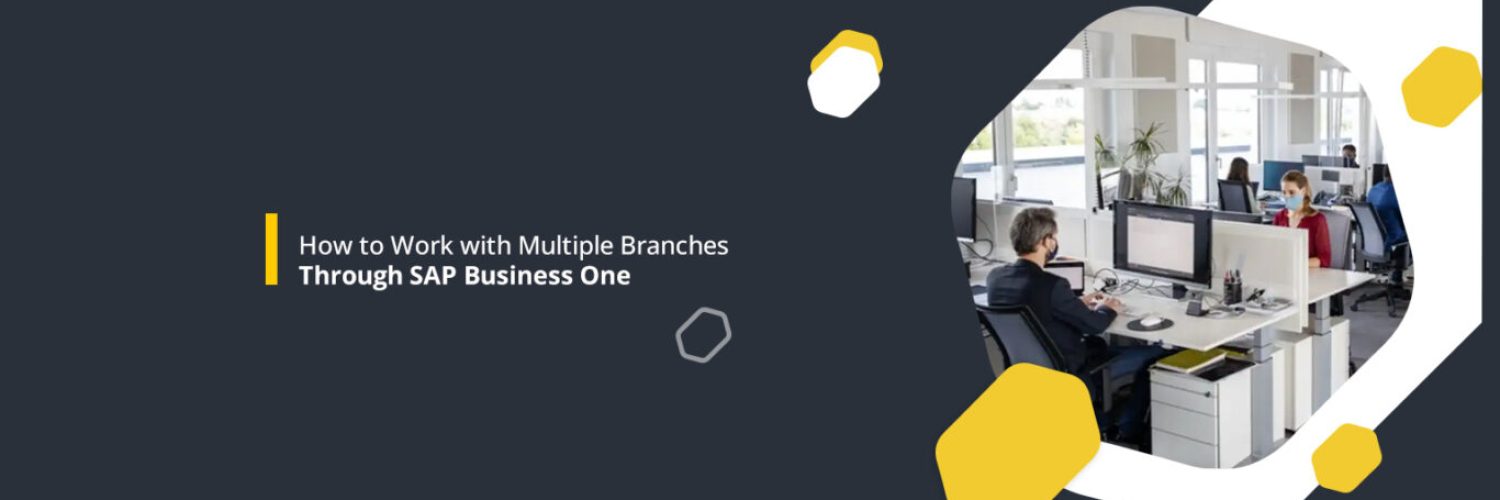 How-to-Work with-Multiple-Branches-Through-SAP-Business-One